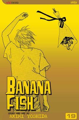 Book cover for Banana Fish, Vol. 19