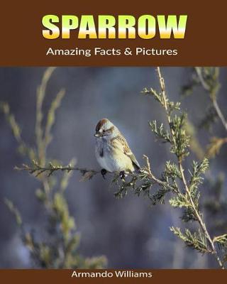 Book cover for Sparrow