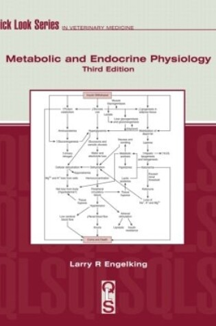 Cover of Metabolic and Endocrine Physiology