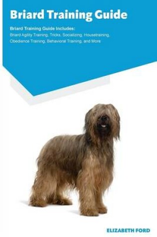 Cover of Briard Training Guide Briard Training Guide Includes