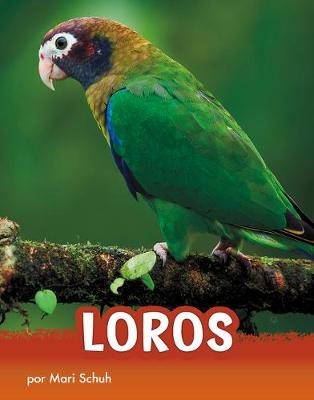 Book cover for Loros