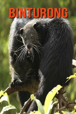 Cover of Binturong