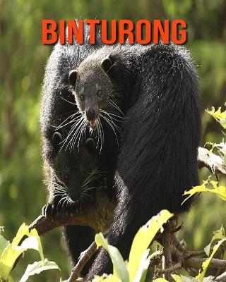 Book cover for Binturong
