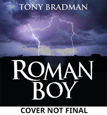 Book cover for Roman Boy