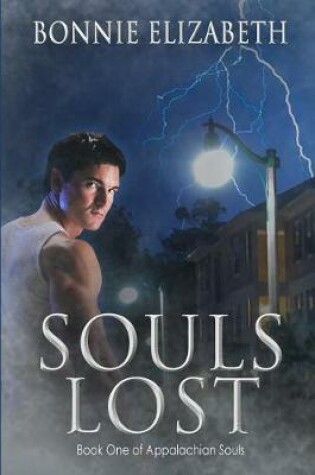 Cover of Souls Lost