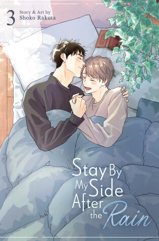 Cover of Stay By My Side After the Rain Vol. 3