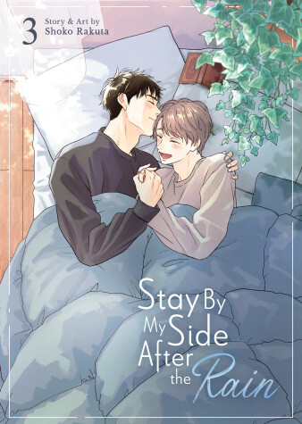 Book cover for Stay By My Side After the Rain Vol. 3