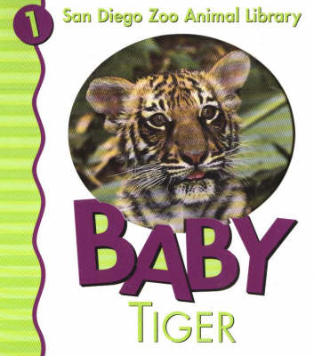 Book cover for Baby Tiger