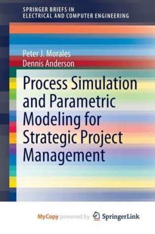 Cover of Process Simulation and Parametric Modeling for Strategic Project Management