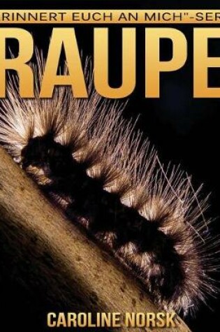 Cover of Raupe