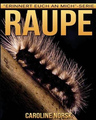 Book cover for Raupe