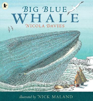 Cover of Big Blue Whale