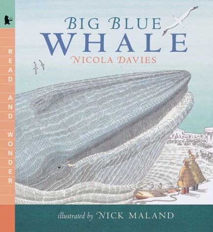 Book cover for Big Blue Whale