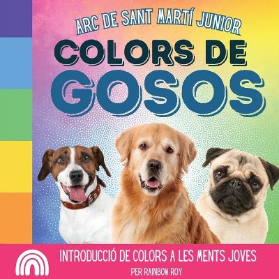 Book cover for Arc de Sant Martí Junior, Colors de Gosos