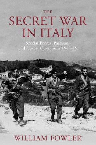 Cover of The Secret War in Italy