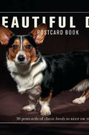 Cover of Beautiful Dogs Postcard Book