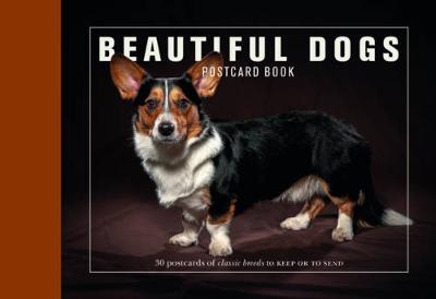 Book cover for Beautiful Dogs Postcard Book