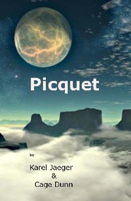 Book cover for Picquet