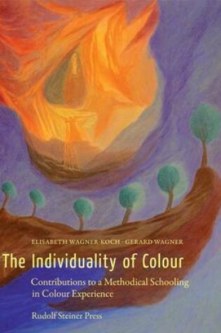 Cover of The Individuality of Colour