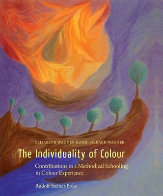 Book cover for The Individuality of Colour