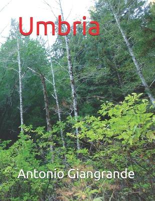 Cover of Umbria