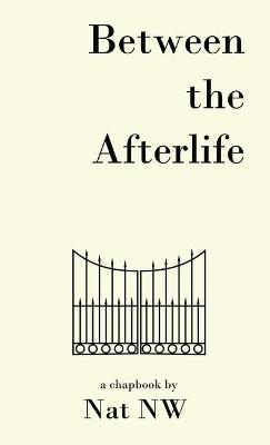 Book cover for Between The Afterlife