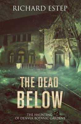 Book cover for The Dead Below