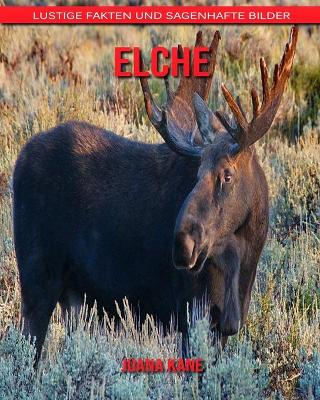Book cover for Elche