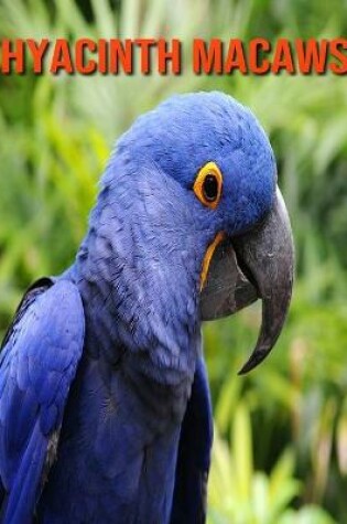 Cover of Hyacinth Macaws