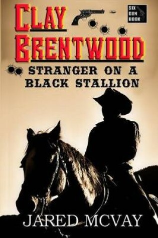 Cover of Stranger on a Black Stallion