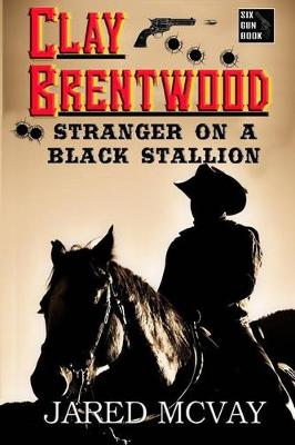 Book cover for Stranger on a Black Stallion