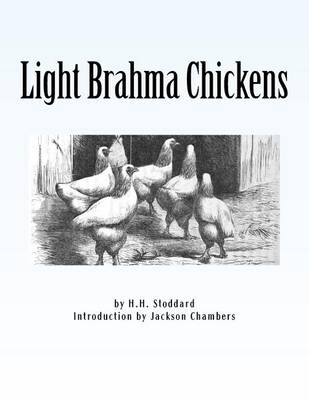 Cover of Light Brahma Chickens