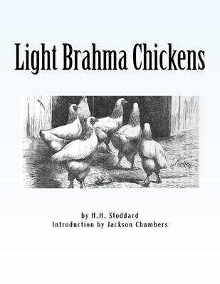 Book cover for Light Brahma Chickens