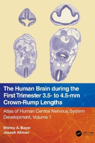 Cover of The Human Brain during the First Trimester 3.5- to 4.5-mm Crown-Rump Lengths