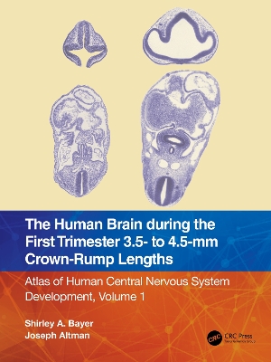 Book cover for The Human Brain during the First Trimester 3.5- to 4.5-mm Crown-Rump Lengths