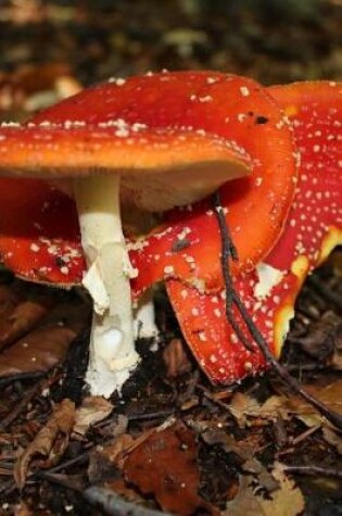 Cover of Fly Agaric Mushrooms in the Woods Journal