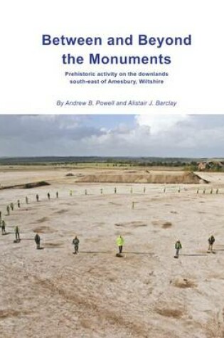 Cover of Between and Beyond the Monuments