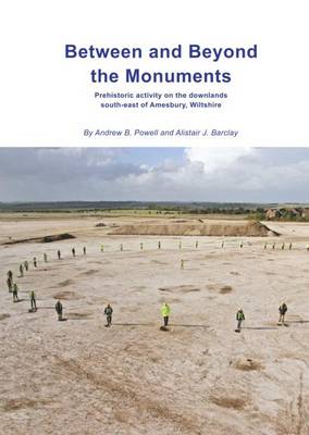 Book cover for Between and Beyond the Monuments