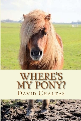 Book cover for Where's My Pony?