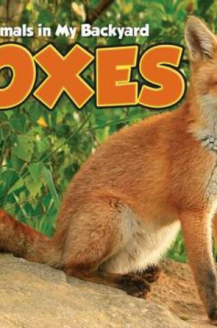 Cover of Foxes