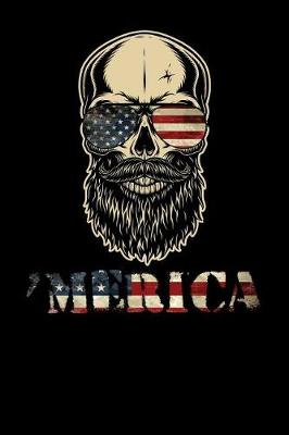 Book cover for 'merica