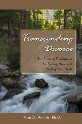 Cover of Transcending Divorce