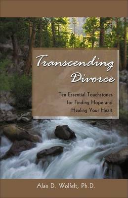 Book cover for Transcending Divorce