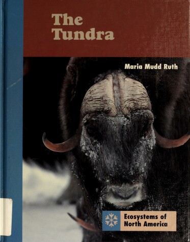 Cover of The Tundra