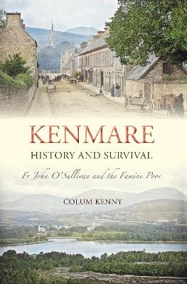 Book cover for Kenmare History and Survival