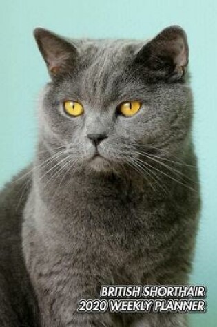 Cover of British Shorthair 2020 Weekly Planner