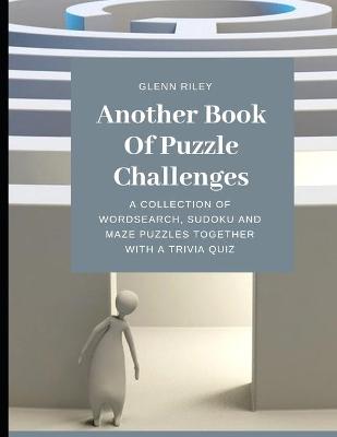 Book cover for Another Book Of Puzzle Challenges