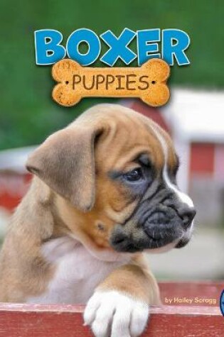 Cover of Boxer Puppies