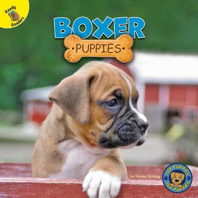 Book cover for Boxer Puppies