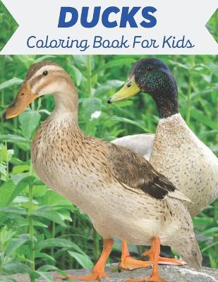 Book cover for Ducks Coloring Book For Kids